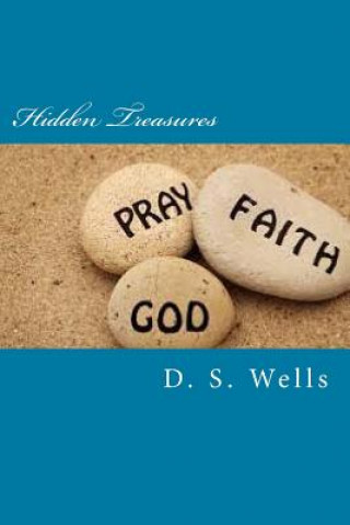 Knjiga Hidden Treasures D S Wells