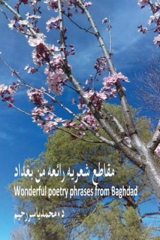 Carte Wonderful Poetry Phrases from Baghdad: Poetry Phrases Dr Mohammed Yasser Raheem