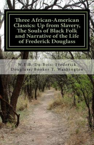 Kniha Three African- American Classics: Up from Slavery, The Souls of Black Folk and Narrative of the Life of Frederick Douglass W E B Du Bois
