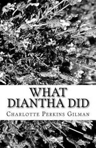 Buch What Diantha Did Charlotte Perkins Gilman