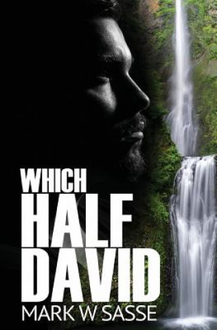 Книга Which Half David: A Modern-day King David Story Mark W Sasse