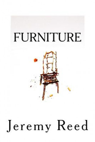 Könyv Furniture Jeremy Reed