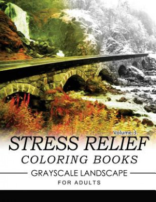 Carte Stress Relief Coloring Books GRAYSCALE Landscape for Adults Volume 3 Keith D Simons