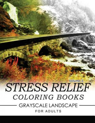 Buch Stress Relief Coloring Books GRAYSCALE Landscape for Adults Volume 3 Keith D Simons