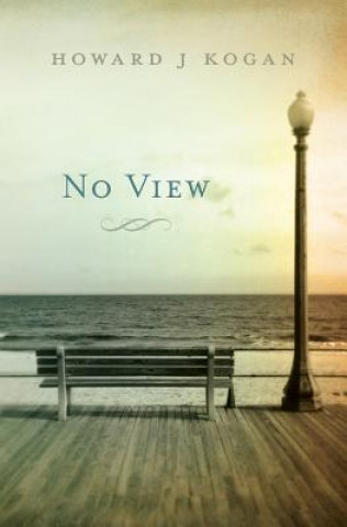 Kniha No View Howard J Kogan