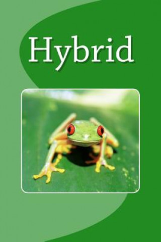 Book Hybrid Danny Google