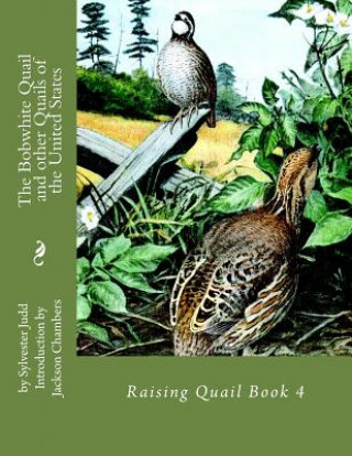 Kniha The Bobwhite Quail and other Quails of the United States: Raising Quail Book 4 Sylvester Judd