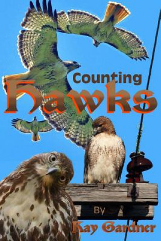 Book counting hawks Kay Gardner