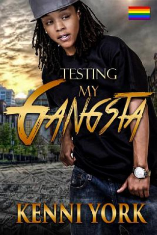 Boek Testing My Gangsta Kenni York
