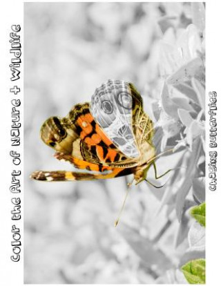 Kniha Chasing Butterflies: Color the Art of Nature + Wildlife Tiffany Photography