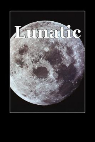 Book Lunatic Danny Google