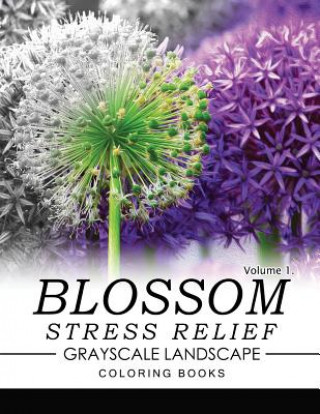 Könyv Blossom Stress Relief GRAYSCALE Landscape Coloring Books Volume 1 Keith D Simons