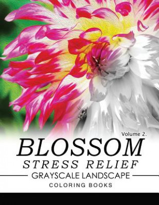 Könyv Blossom Stress Relief GRAYSCALE Landscape Coloring Books Volume 2 Keith D Simons