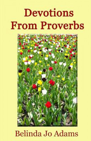 Knjiga Devotions From Proverbs Belinda Jo Adams