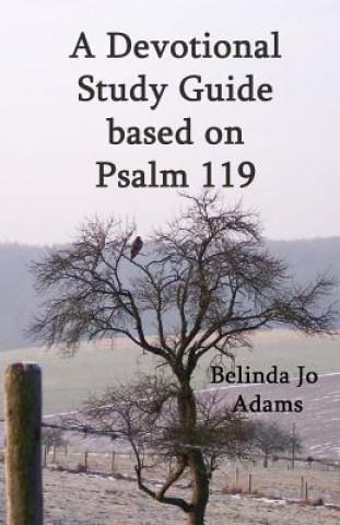 Könyv Psalm 119 Devotional & Study Guide Belinda Jo Adams