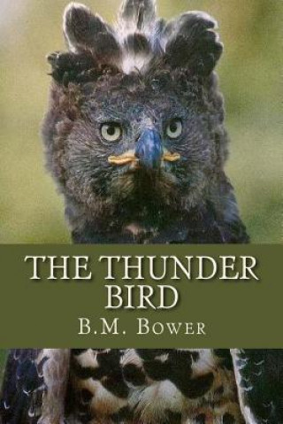 Knjiga The Thunder Bird B M Bower