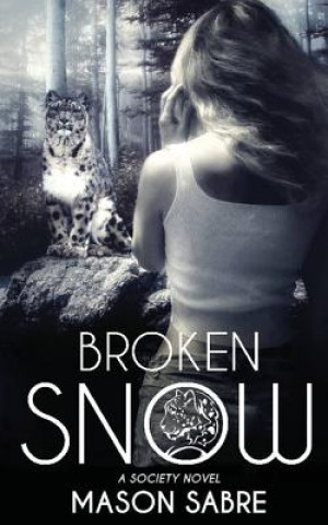 Book Broken Snow Mason Sabre