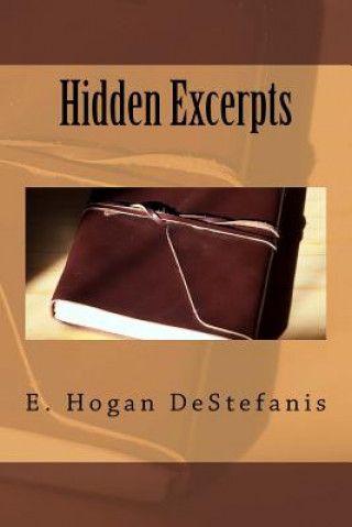 Könyv Hidden Excerpts Erin Hogan-Destefanis