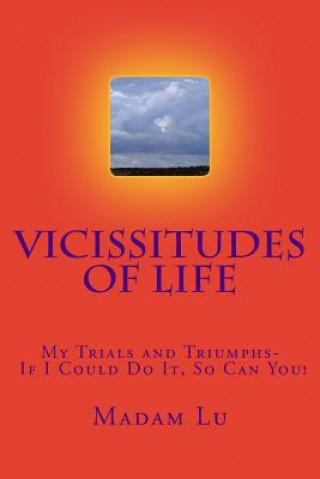 Book Vicissitudes Of Life: My Trials and Triumphs- If I Could Do It, So Can You! Madam Lu