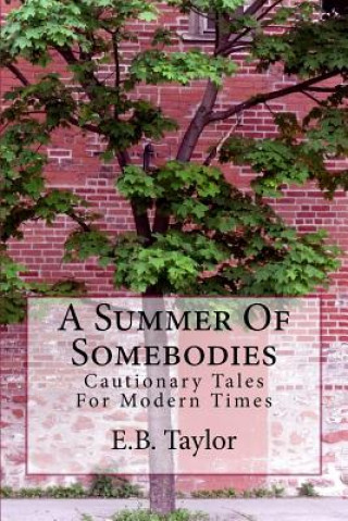 Książka A Summer of Somebodies E B Taylor