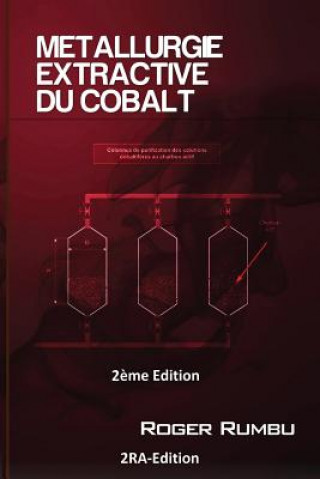 Könyv Metallurgie Extractive du Cobalt - 2eme Ed Roger Rumbu