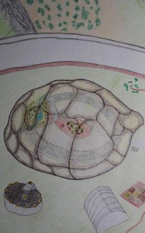 Book The Turtle Test Benjamin Gayle