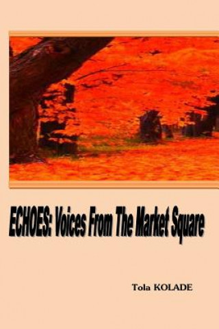 Kniha Echoes: Voices from the Market Square Tola Kolade