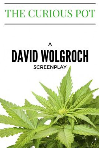 Buch The Curious Pot David Wolgroch