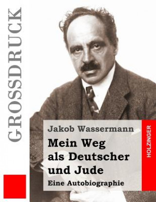 Kniha Mein Weg als Deutscher und Jude: Eine Autobiographie Jakob Wassermann