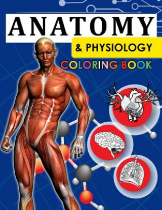 Kniha Anatomy & Physiology Coloring Book: 2nd Edtion Dr Willie J Mitchell