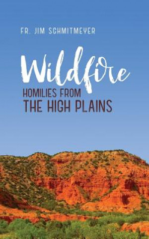 Könyv Wildfire: Homilies from the High Plains Fr Jim Schmitmeyer