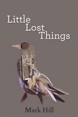 Buch Little Lost Things Mark Hill