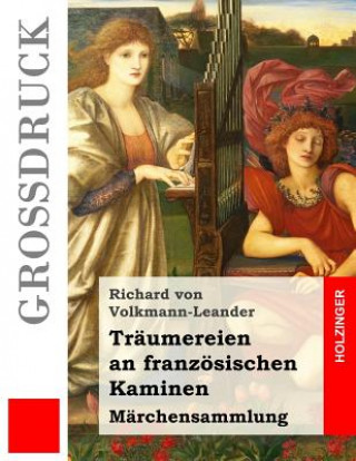 Kniha Träumereien an französischen Kaminen (Großdruck): Märchensammlung Richard Von Volkmann-Leander