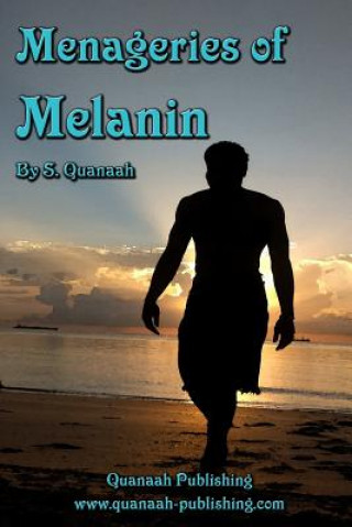 Kniha Menageries of Melanin S Quanaah