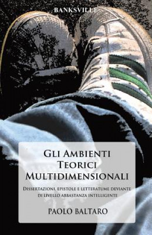 Carte Gli Ambienti Teorici Multidimensionali: Dissertazioni, epistole e letteratume deviante di livello abbastanza intelligente. Paolo Baltaro