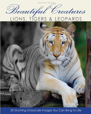Knjiga Beautiful Creatures: Lions, Tigers & Leopards Amanda Moon