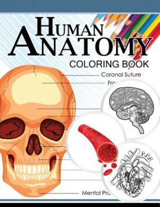 Könyv Human Anatomy Coloring Book: Anatomy & Physiology Coloring Book 3rd Edtion Dr Michael D Clark