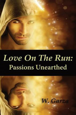 Kniha Love On The Run: Passions Unearthed MR W Garza