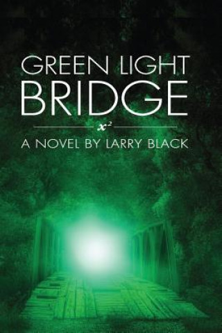 Buch Green Light Bridge Larry Black