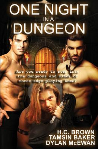 Kniha One Night in a Dungeon: Anthology H C Brown