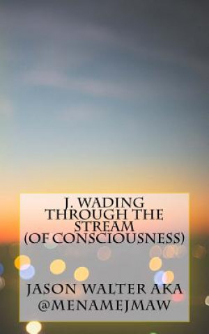 Knjiga J. Wading Through the Stream Jason M a Walter