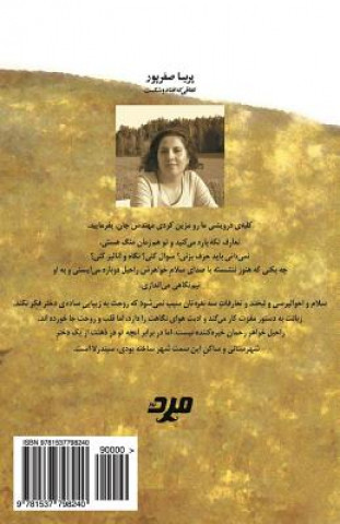 Kniha The Broken Incident Mis Parisa Safarpour