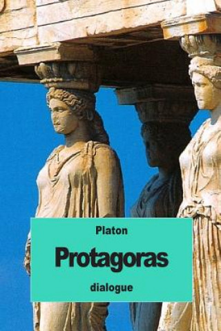 Könyv Protagoras: ou Les Sophistes Platon