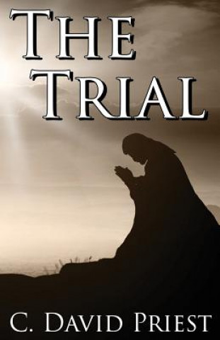 Knjiga The Trial C David Priest