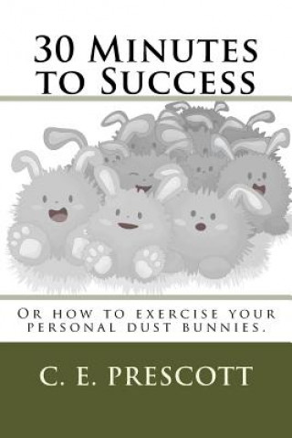 Kniha 30 Minutes to Success: Or how to exercise your personal dust bunnies. C E Prescott