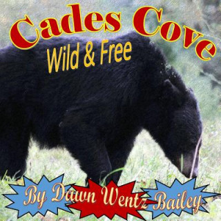 Kniha Cades Cove Wild & Free Dawn Wentz Bailey