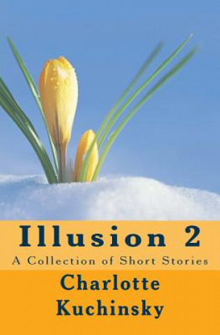 Kniha Illusion 2: A Collection of Short Stories MS Charlotte Kuchinsky
