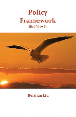 Knjiga Policy Framework MR Beizhan Liu