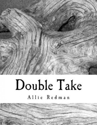 Książka Double Take Allie Redman