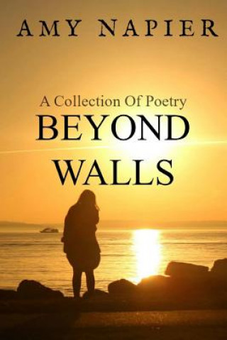 Knjiga Beyond Walls Amy Napier